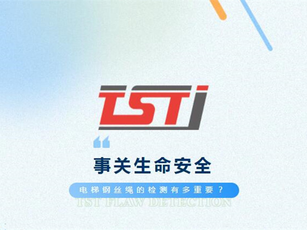 泰（tài）斯特